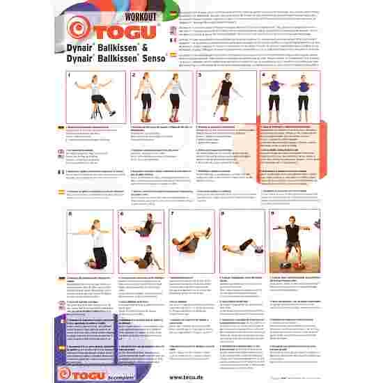 Togu Dynair Ballkissen "Senso 33 Cm" Ball Cushion 9 Togu Dynair Ballkissen "Senso 33 Cm" Ball Cushion - Image 9