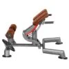 Sport-Thieme "OV" Back Extension Bench