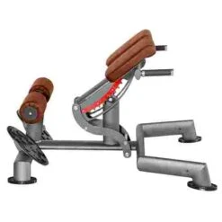 Sport-Thieme "OV" Back Extension Bench