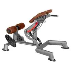 Sport-Thieme "OV" Back Extension Bench -Sports-Fitness Equipment 307 8903