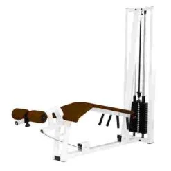 Sport-Thieme "SQ" Leg Curl Machine