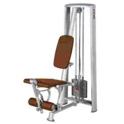 Sport-Thieme OV Leg Extension Machine -Sports-Fitness Equipment 312 6514