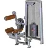 Sport-Thieme "OV" Back Extension Machine