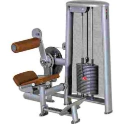 Sport-Thieme "OV" Back Extension Machine