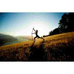 Stick Mobility Exercise Stick 18 Stick Mobility Exercise Stick -Sports-Fitness Equipment 316 7801 5