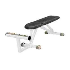 Sport-Thieme "SQ" Multipurpose Bench